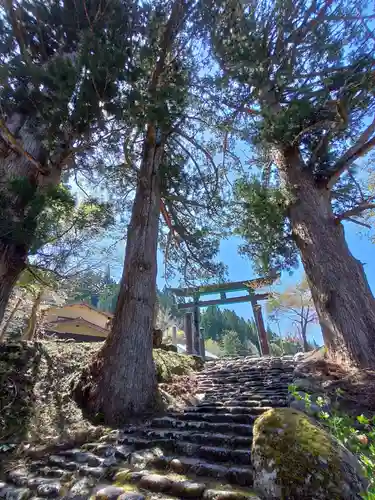 白山中居神社の鳥居