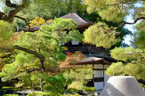 慈照寺（慈照禅寺・銀閣寺）のその他建物