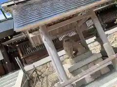 籠神社の狛犬