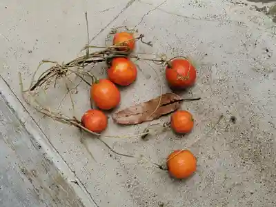 月水石神社(茨城県)