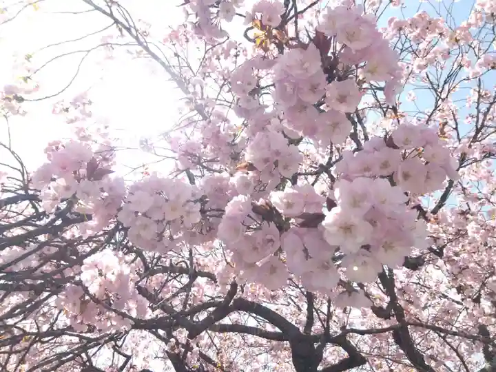 春日神社(京都府)