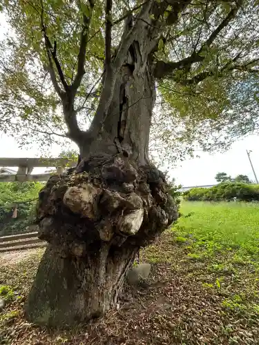 高根神社(長野県)