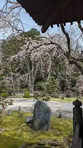 妙満寺(京都府)