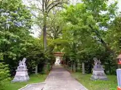 永山神社の景色