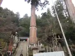 由岐神社の自然