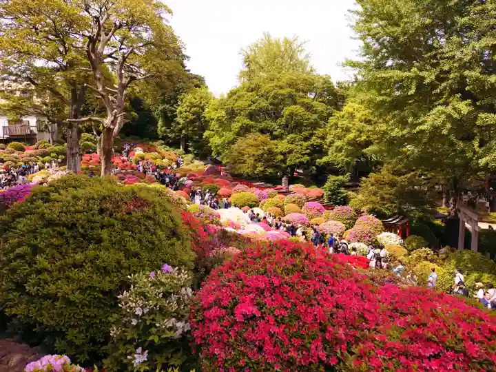 根津神社の{uncategorized: "未分類", other: "その他", undefined: "問題あり", building: "その他建物", grave: "お墓", sacred_gate: "鳥居", guardian: "狛犬", statue: "像", buddha: "仏像", history: "歴史", nature: "自然", garden: "庭園", animal: "動物", pagoda: "塔", temizu: "手水舎", mountain_gate: "山門・神門", sanctuary: "本殿・本堂", subordinate: "末社・摂社", art: "芸術", scenery: "景色", jizo: "地蔵", ema: "絵馬", goshuin: "御朱印", omikuji: "おみくじ", items: "授与品その他", amulet: "お守り", goshuincho: "御朱印帳", eats: "食事", festival: "お祭り", votive_dance: "神楽", shichigosan: "七五三参", wedding: "結婚式", experience: "体験その他", initially: "初詣", around: "周辺", anti_infection: "感染症対策"}