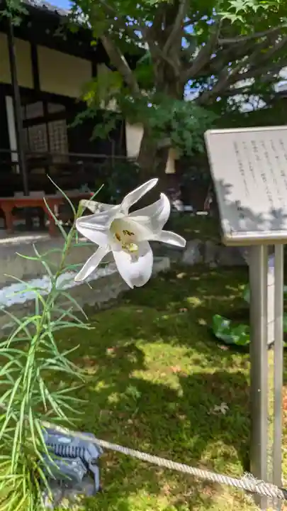 勝林寺(京都府)