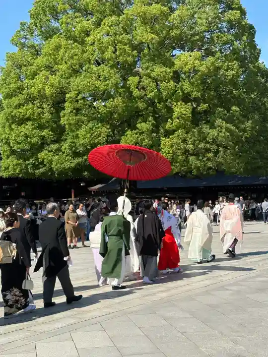 明治神宮(東京都)