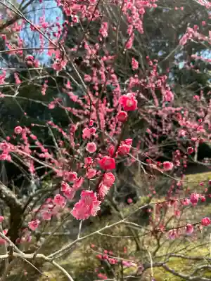 岩津天満宮の自然