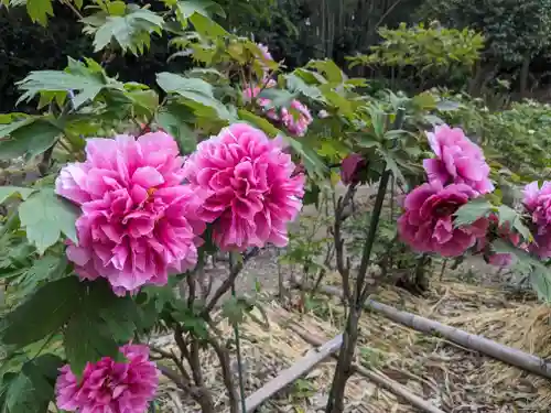 総持寺(滋賀県)