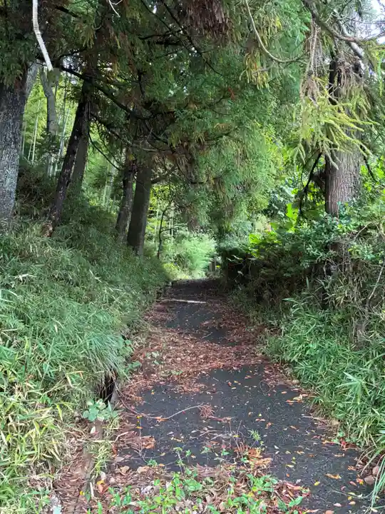 麻賀多神社(千葉県)