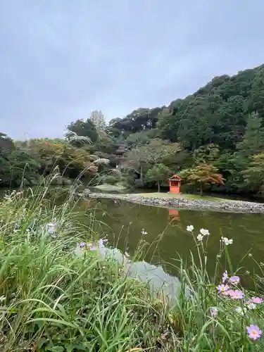 浄瑠璃寺(京都府)