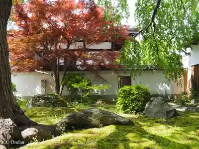 本満寺(本願満足寺)(京都府)