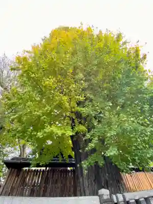 宇賀神社(京都府)