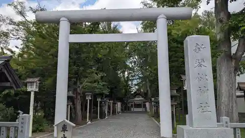 新琴似神社の鳥居