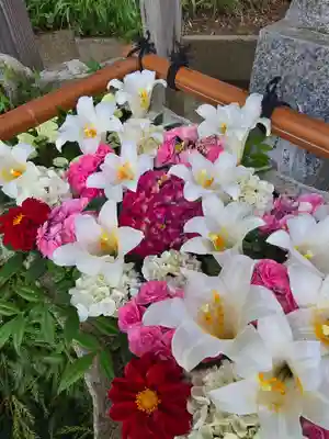 田間神社(千葉県)