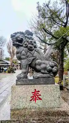 菊田神社の狛犬