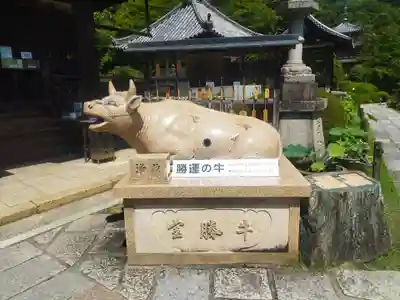 三室戸寺(京都府)