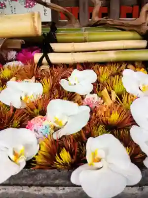 下谷神社(東京都)