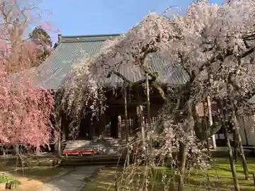 西雲寺の本殿・本堂