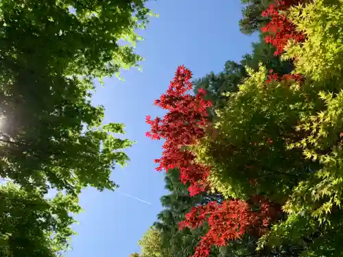 滑川神社 - 仕事と子どもの守り神の自然