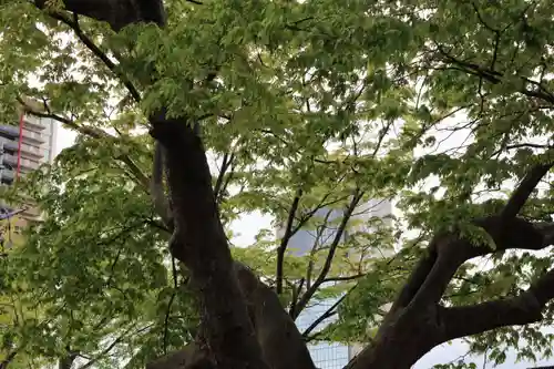 阿邪訶根神社の自然