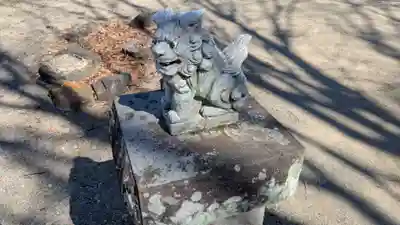 神明社・大杉神社の狛犬
