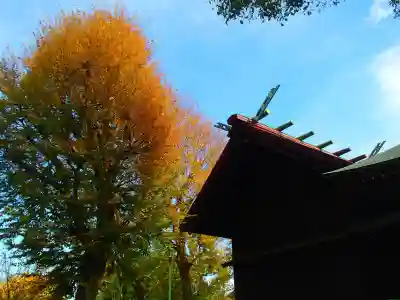 下石原八幡神社の本殿・本堂