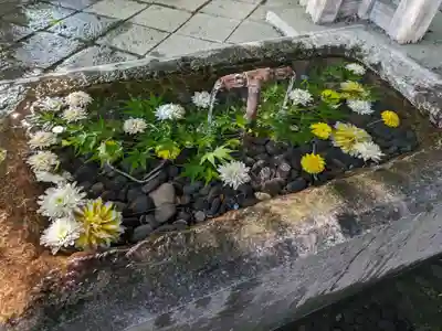 熊野大社(山形県)