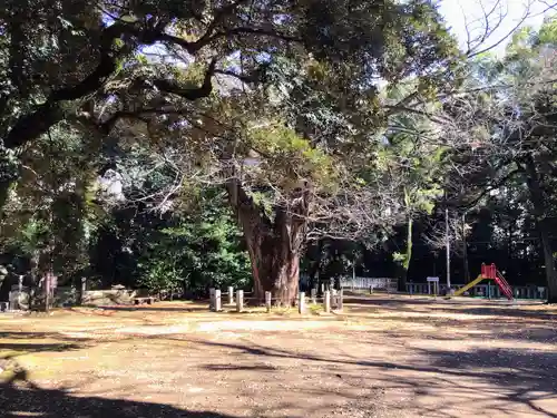 赤坂氷川神社の自然