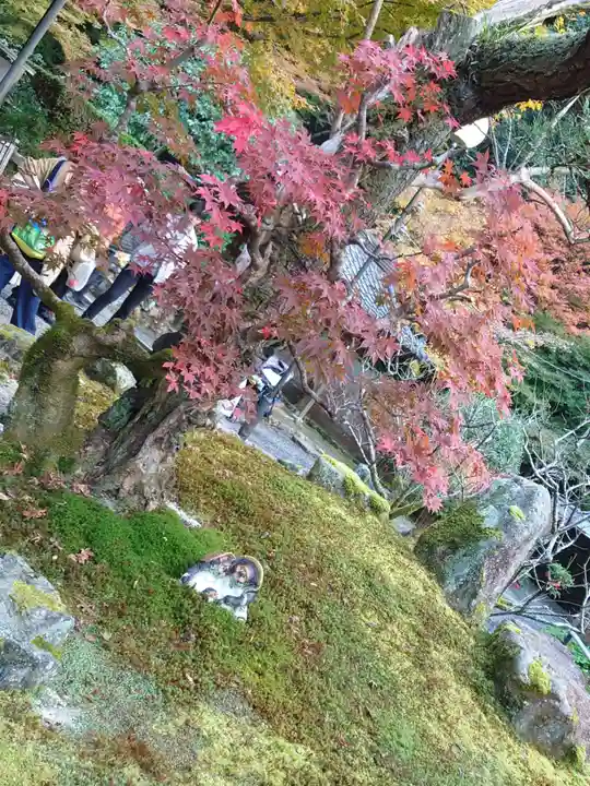 高徳庵 (最勝院)(京都府)