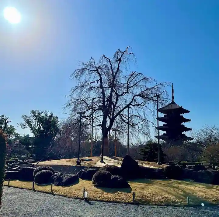 東寺(教王護国寺)(京都府)