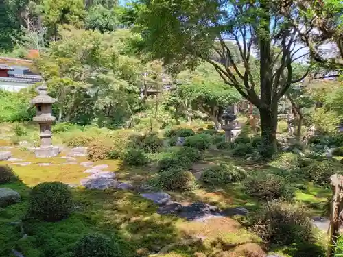 金剛寺(大阪府)