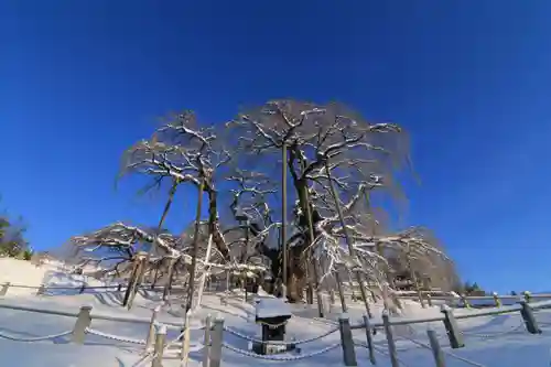 瀧桜神明宮の本殿