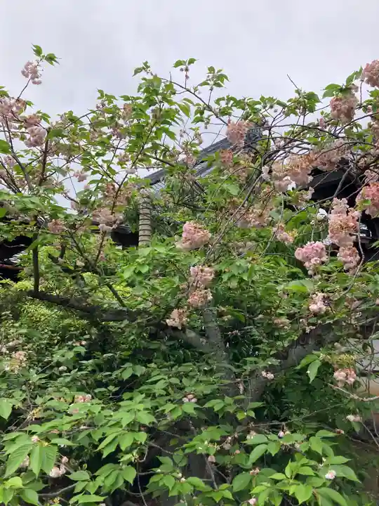 興聖寺(京都府)