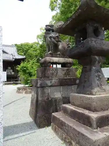 三笠神社の狛犬