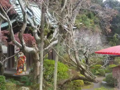 海蔵寺の庭園