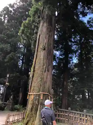 戸隠神社中社(長野県)
