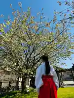 守りの神 藤基神社(新潟県)