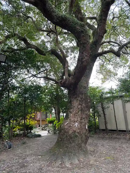 畠田神社(三重県)
