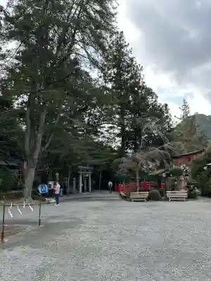 天河大辨財天社の{uncategorized: "未分類", other: "その他", undefined: "問題あり", building: "その他建物", grave: "お墓", sacred_gate: "鳥居", guardian: "狛犬", statue: "像", buddha: "仏像", history: "歴史", nature: "自然", garden: "庭園", animal: "動物", pagoda: "塔", temizu: "手水舎", mountain_gate: "山門・神門", sanctuary: "本殿・本堂", subordinate: "末社・摂社", art: "芸術", scenery: "景色", jizo: "地蔵", ema: "絵馬", goshuin: "御朱印", omikuji: "おみくじ", items: "授与品その他", amulet: "お守り", goshuincho: "御朱印帳", eats: "食事", festival: "お祭り", votive_dance: "神楽", shichigosan: "七五三参", wedding: "結婚式", experience: "体験その他", initially: "初詣", around: "周辺", anti_infection: "感染症対策"}