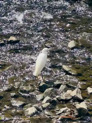 松尾神社(神奈川県)