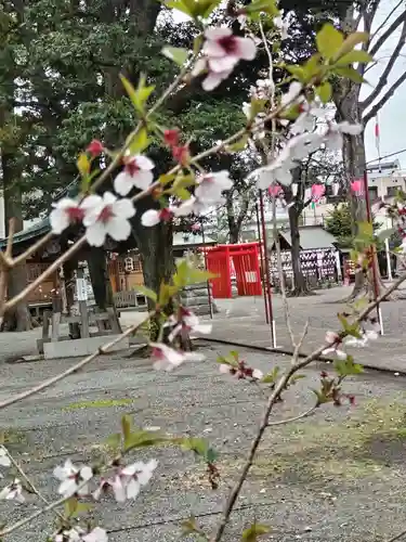 相模原氷川神社(神奈川県)