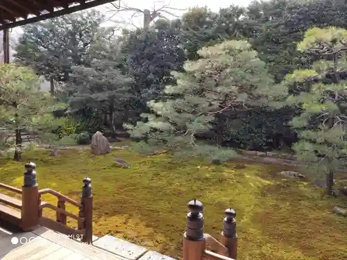 両足院の庭園