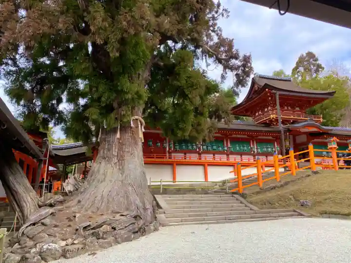 春日大社(奈良県)