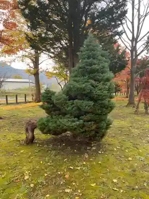 美国神社(北海道)