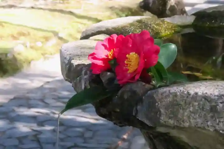 法然院(京都府)