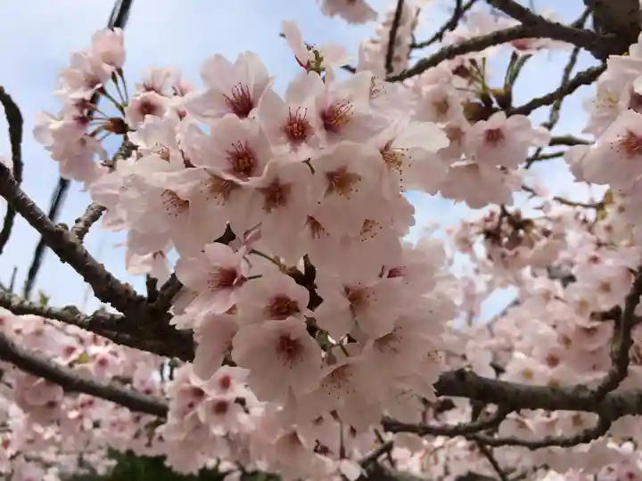 功山寺(山口県)