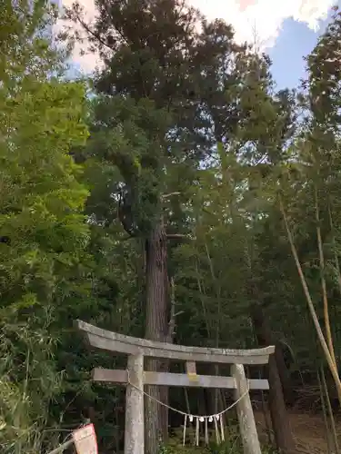 雷神社の鳥居