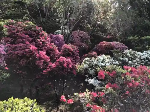 船宿寺の庭園